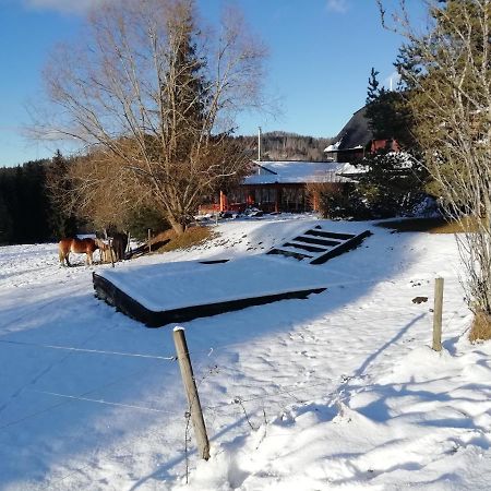 Penzion Farma U Mauritzu Stožec Eksteriør bilde