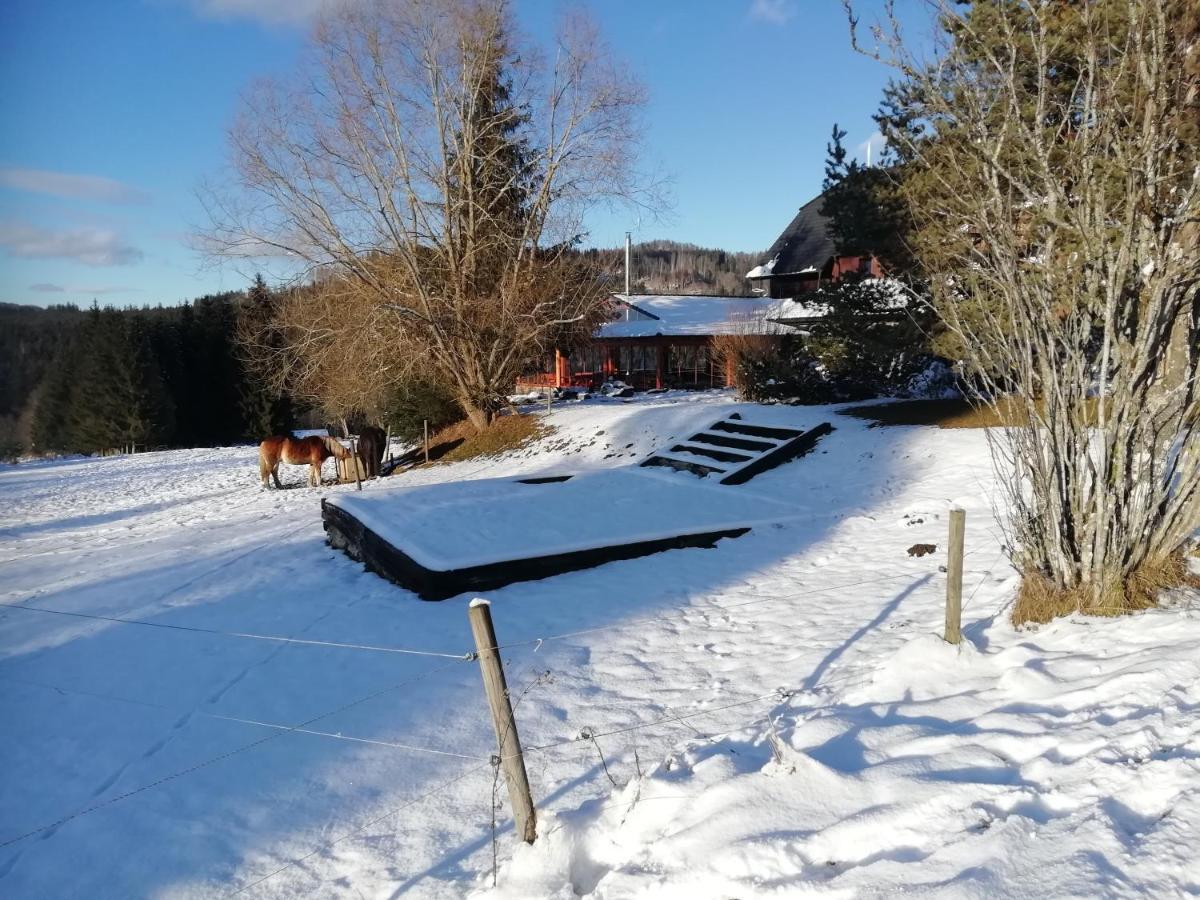 Penzion Farma U Mauritzu Stožec Eksteriør bilde